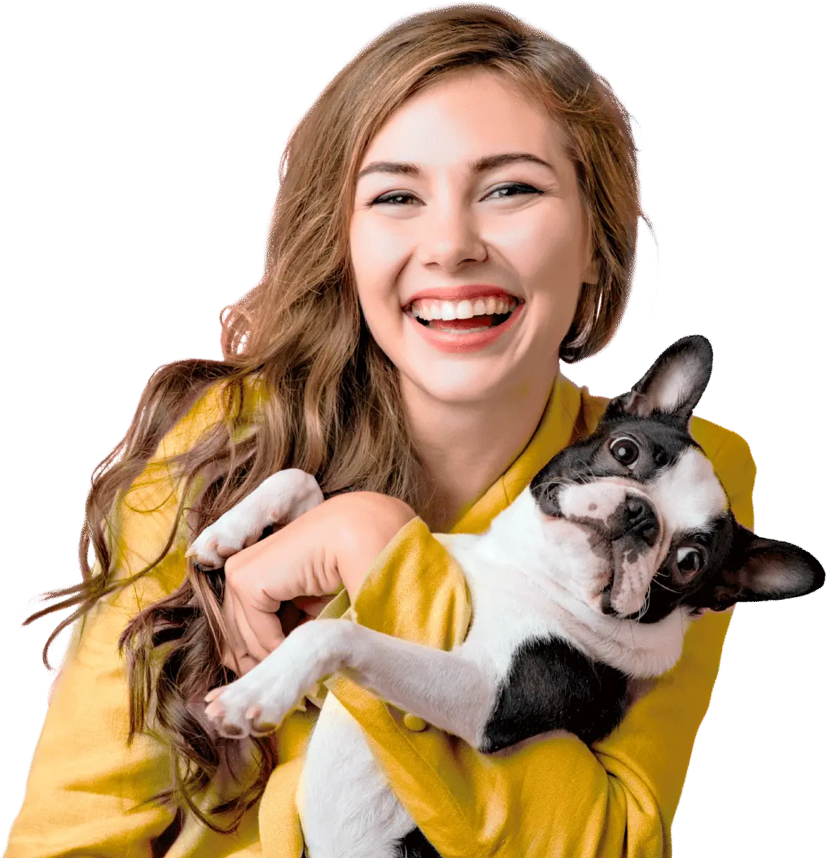 Clínica Veterinária PetMed - Atendimento 24 horas