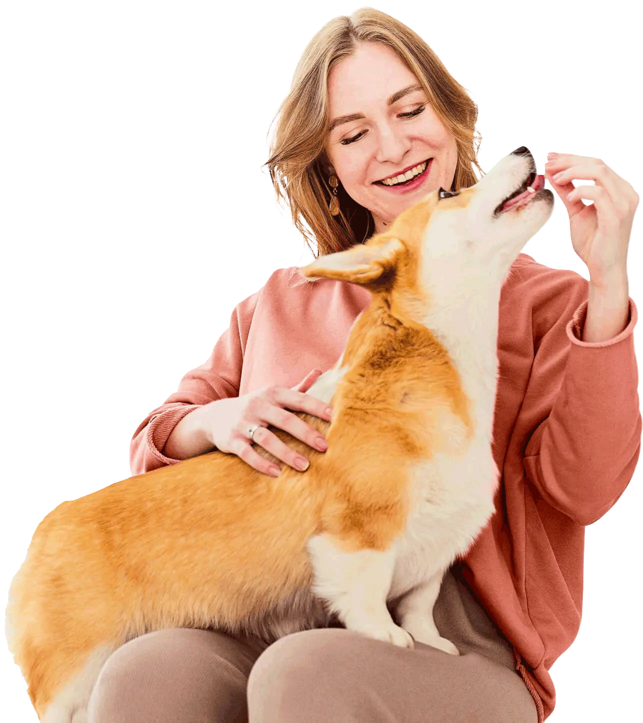 Clínica Veterinária PetMed - Atendimento 24 horas